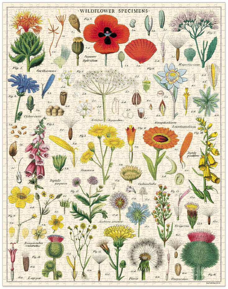 Puzzle de 1000 pièces de la marque CAVALLINI & CO, version Fleurs sauvages.