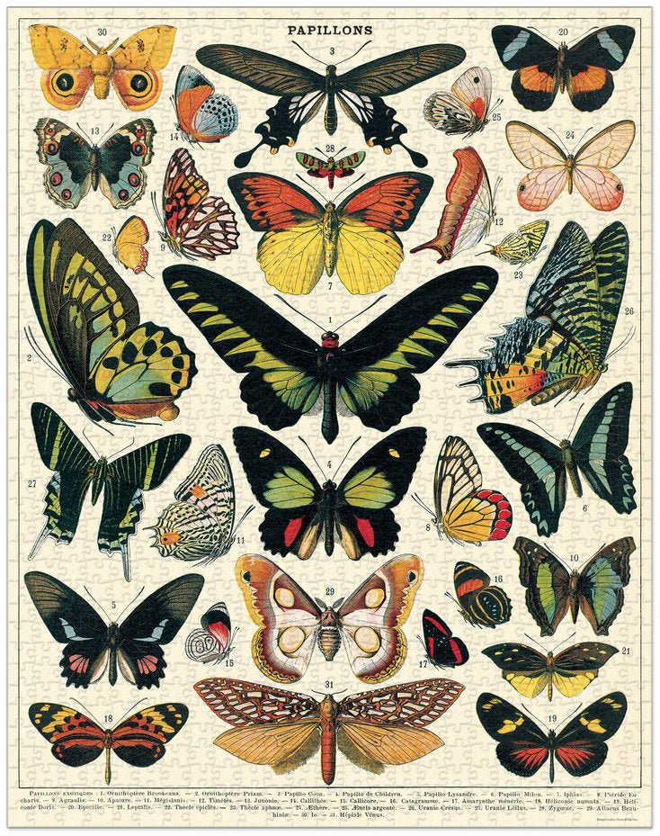 Puzzle de 1000 pièces de la marque CAVALLINI & CO, version Papillons.