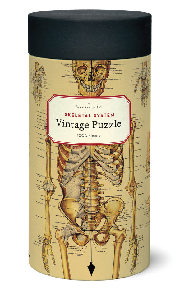 Puzzle vintage - Squelette